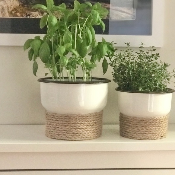 Flower Pot - Picture 8 of 9